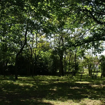 Nuit D'un Jour Bed & Breakfast