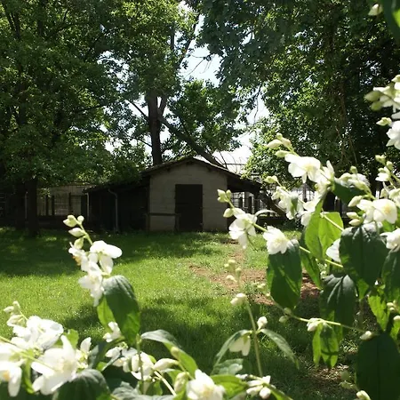 Bed & Breakfast Nuit D'un Jour Montmerle-sur-Saone